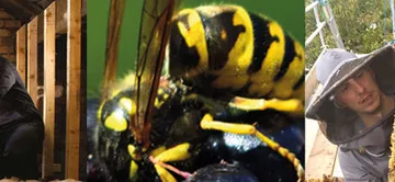 PGH Beegone