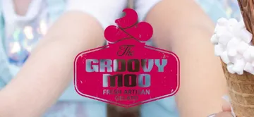 Groovy Moo