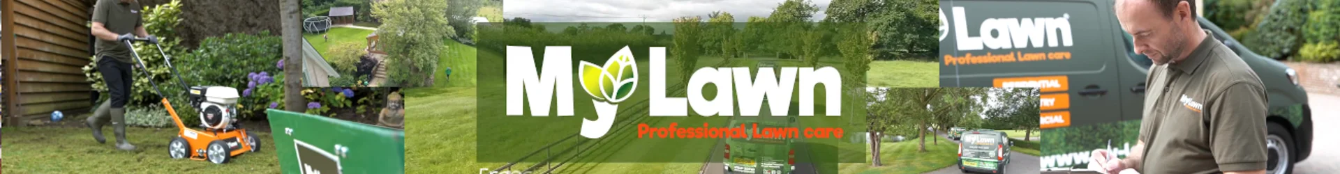 My Lawn