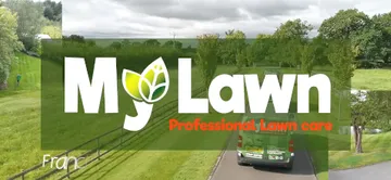 My Lawn