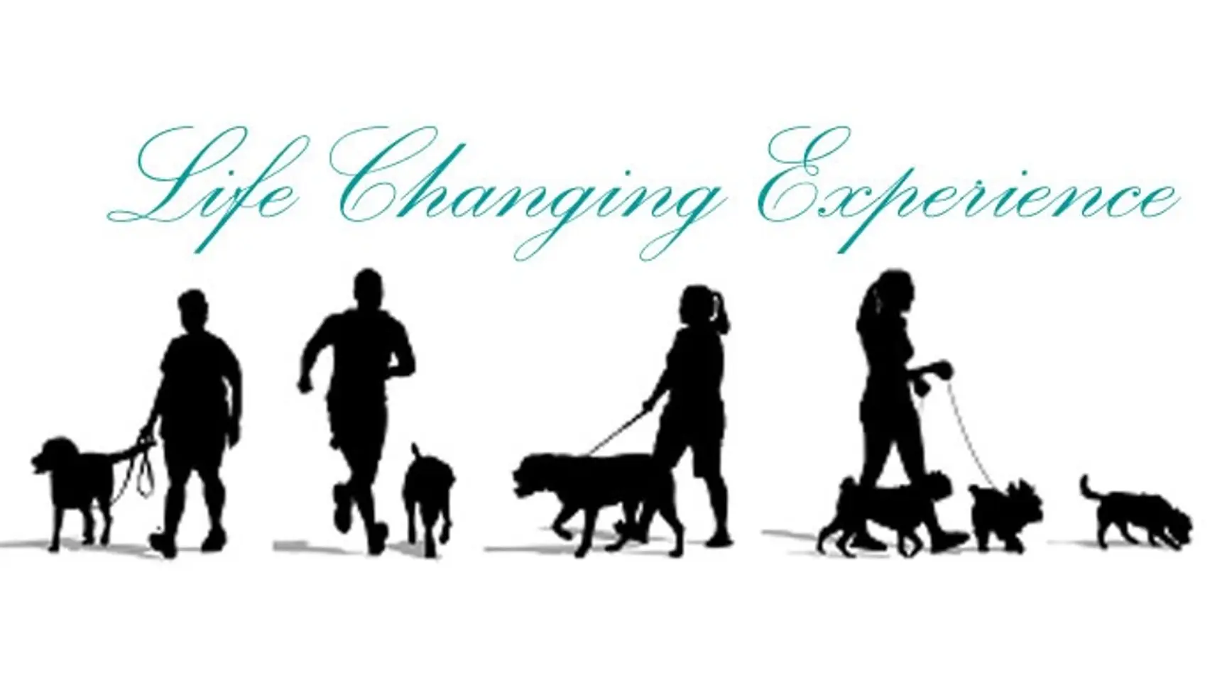 Canine Creche Franchise Opportunities