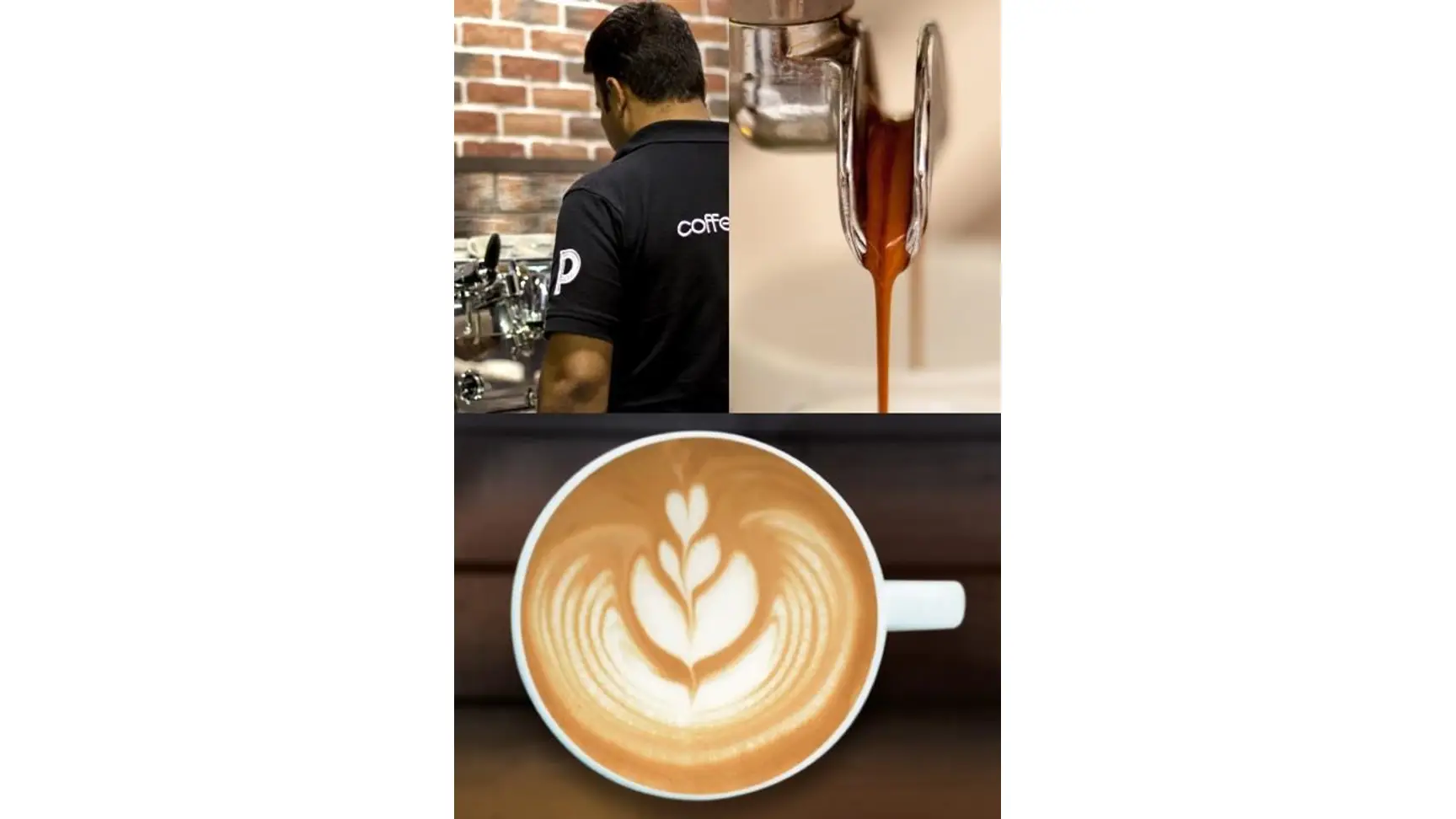 Buy a Coffee Planet Franchise