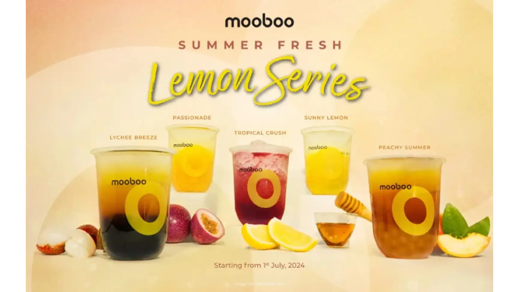 Mooboo Franchise For Sale