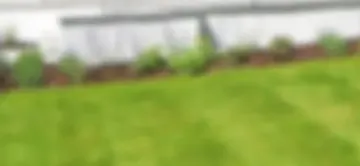 Lawn Science