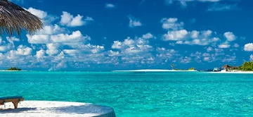 The Travel Franchise