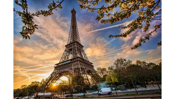 European Franchise Federation Paris