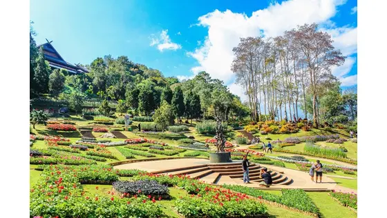 start landscaping franchise