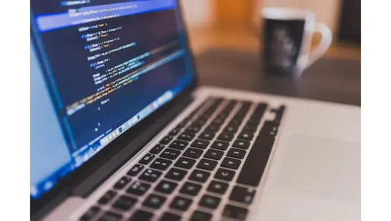 web development business 